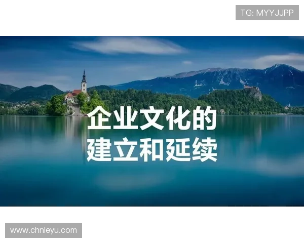 乐鱼集团的企业文化与管理理念，推动企业持续创新与员工共同成长